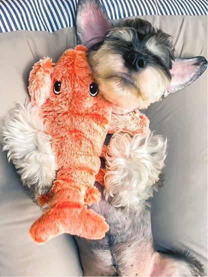 Interactive Plush Lobster Dog Toy